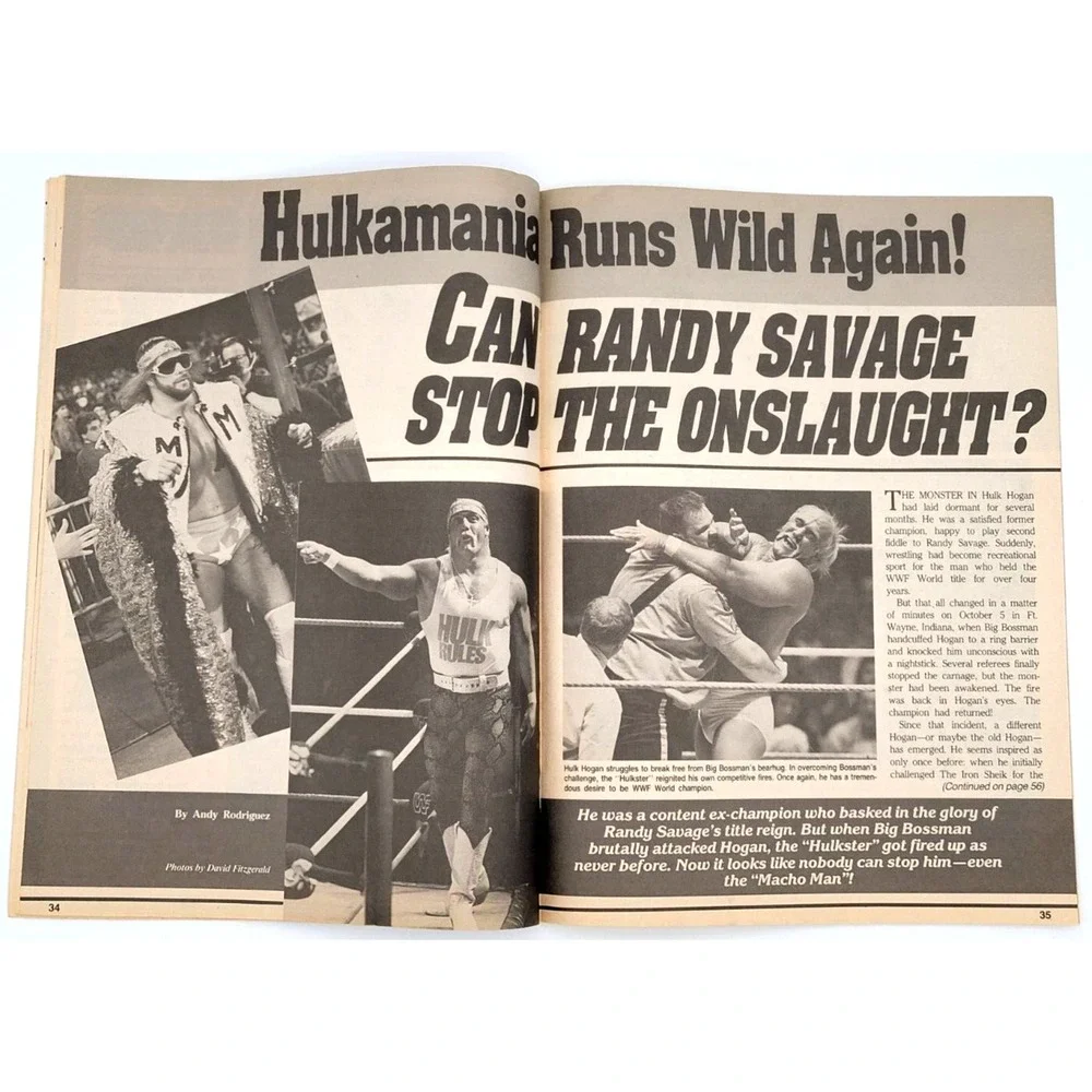 THE WRESTLER  APRIL 1989 - RANDY SAVAGE / HULK HOGAN / KERRY‎ VON ERICH / STING